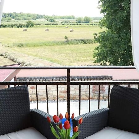 Porec Villa Luna With Pool 外观 照片